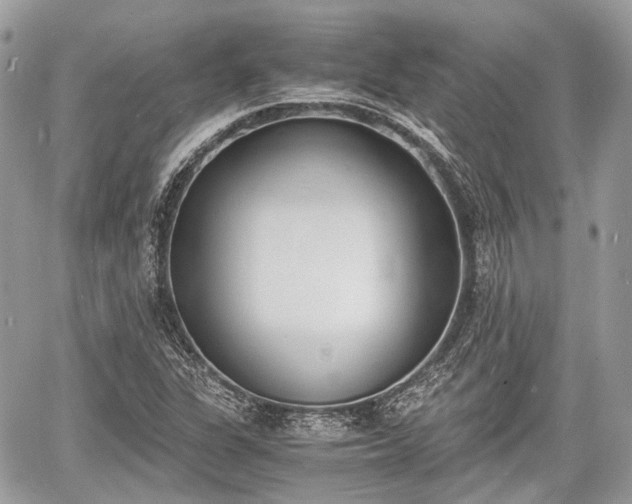 X0000060801311200511141429