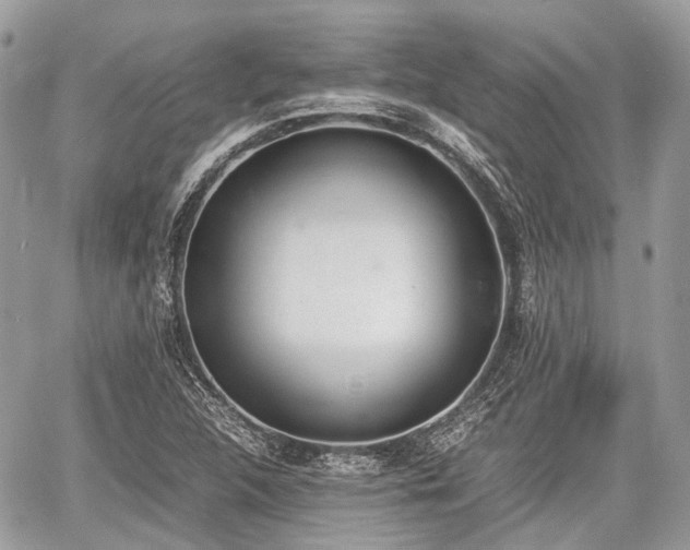 X0000060801312200511141429