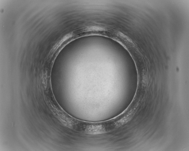 X0000060801313200511141429