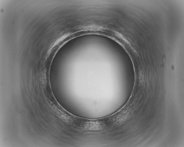 X0000060801315200511141429