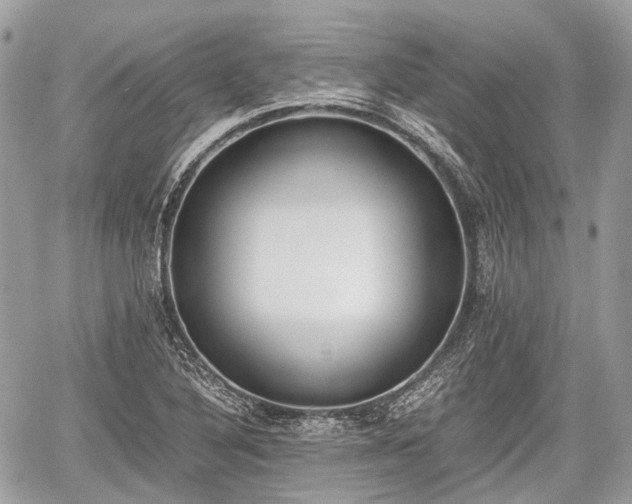 X0000060801316200511141429