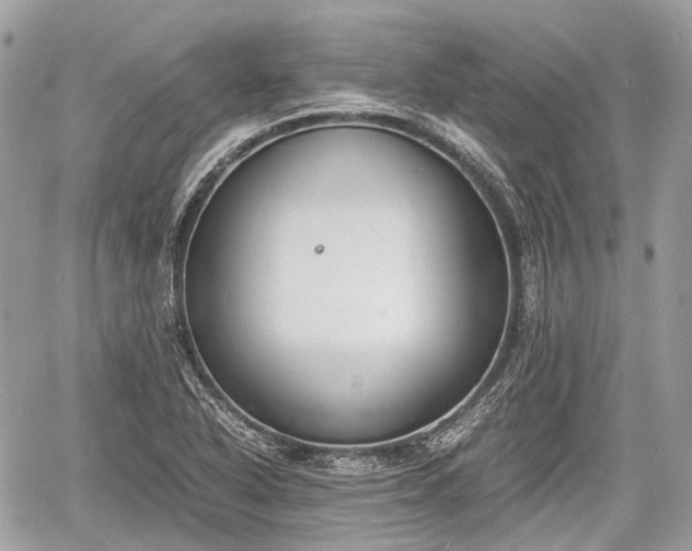 X0000060801318200511141429