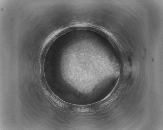 X0000060801319200511141429