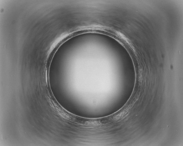 X0000060801320200511141429