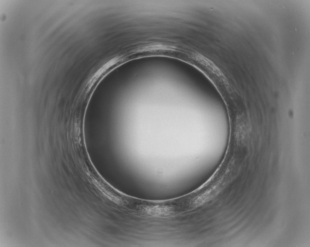 X0000060801321200511141429