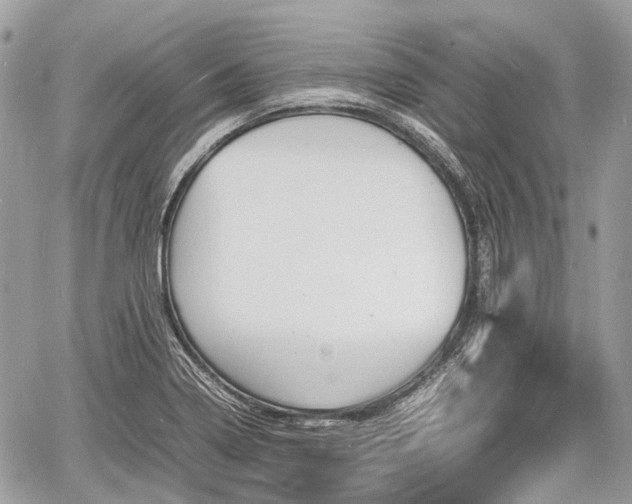 X0000060801322200511141429