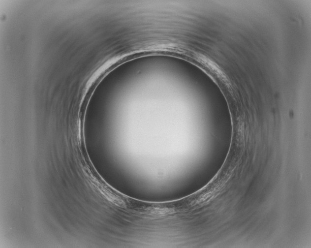 X0000060801324200511141429