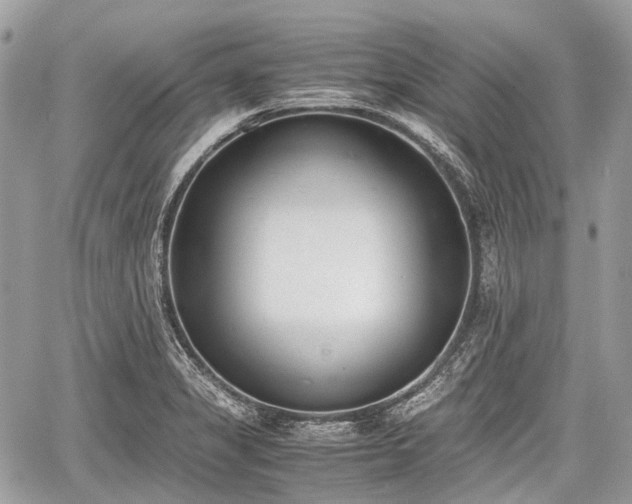 X0000060801325200511141429