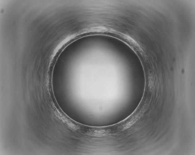 X0000060801326200511141429