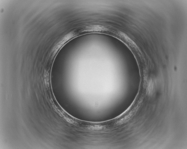 X0000060801329200511141430