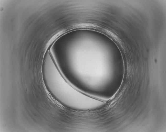 X0000060801330200511141430