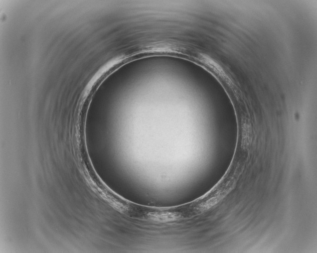 X0000060801331200511141430