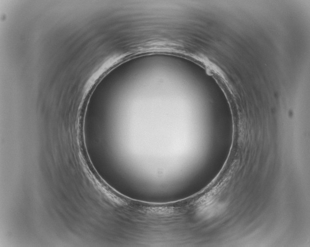 X0000060801333200511141430