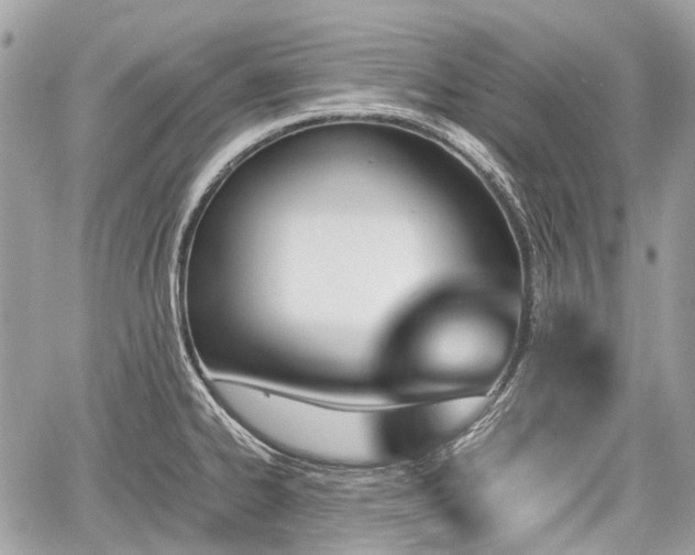 X0000060801334200511141430