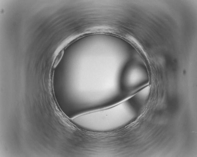 X0000060801336200511141430