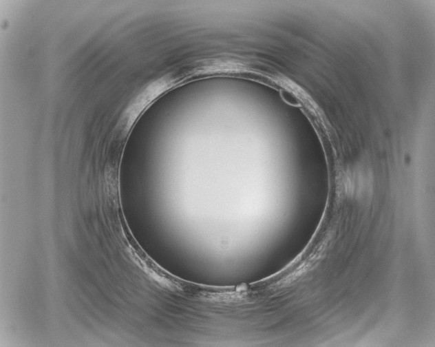 X0000060801337200511141430