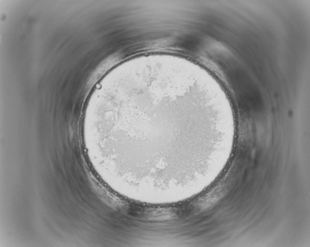 X0000060801338200511141430