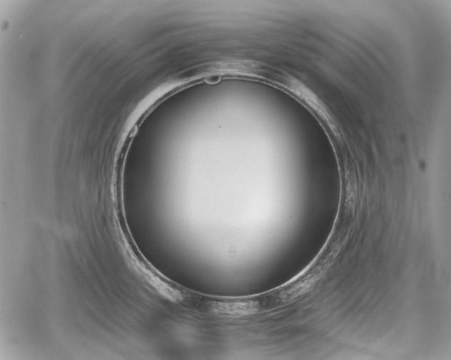 X0000060801339200511141430