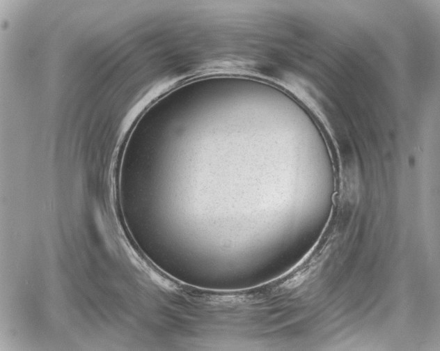 X0000060801341200511141430