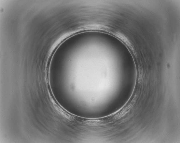 X0000060801342200511141430