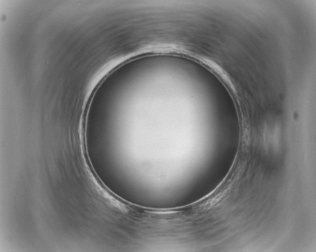 X0000060801343200511141430