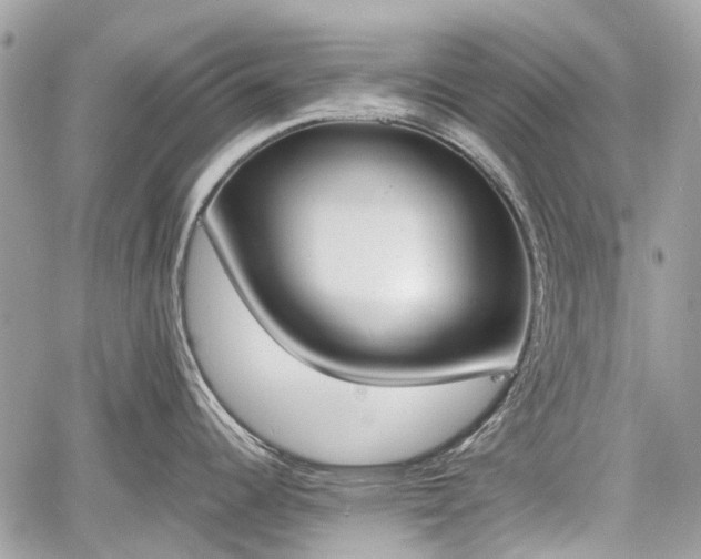 X0000060801344200511141430