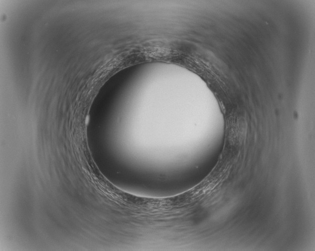 X0000060801345200511141429