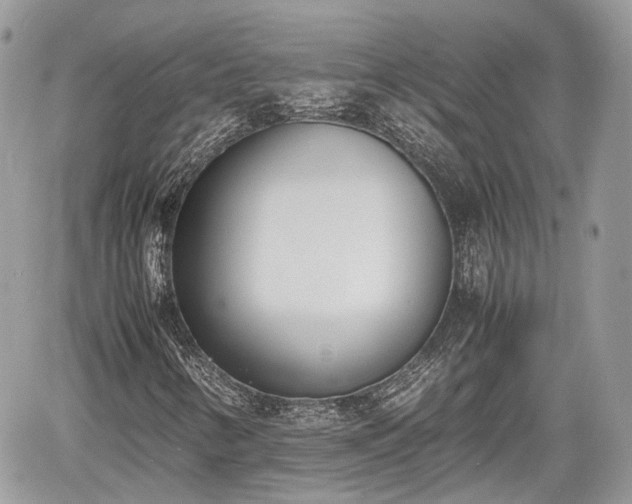 X0000060801346200511141429