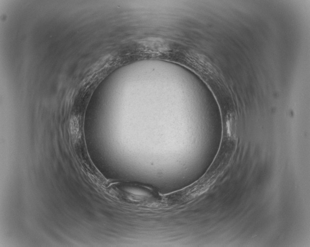 X0000060801347200511141429