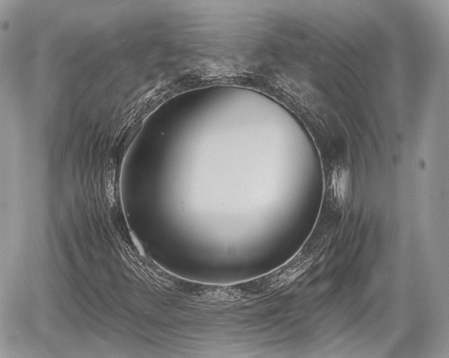 X0000060801348200511141429