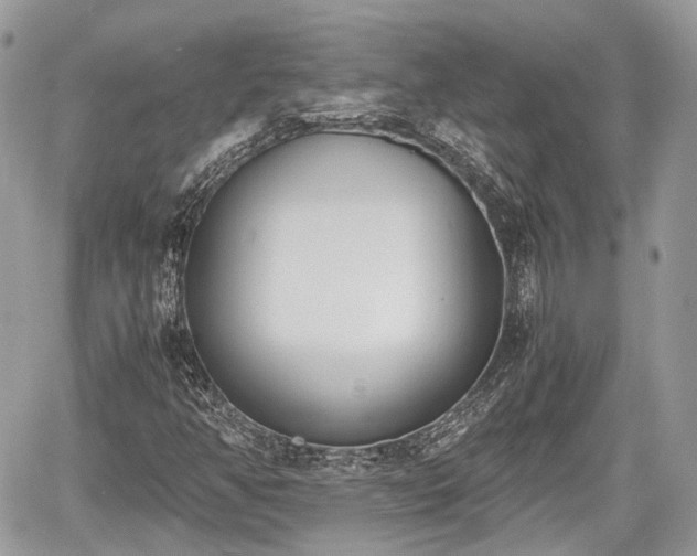 X0000060801350200511141429