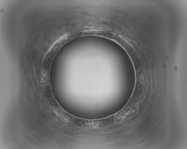 X0000060801351200511141429