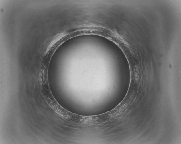 X0000060801352200511141429