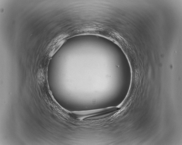 X0000060801353200511141429