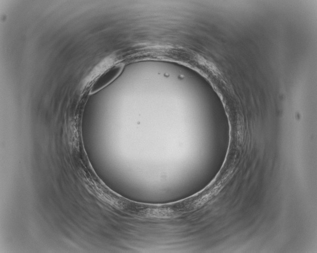 X0000060801354200511141429