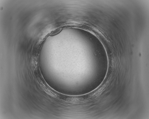 X0000060801355200511141429