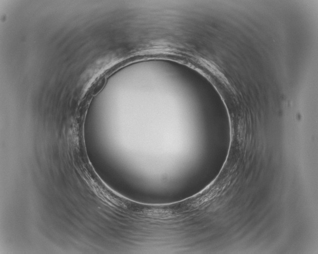 X0000060801356200511141429