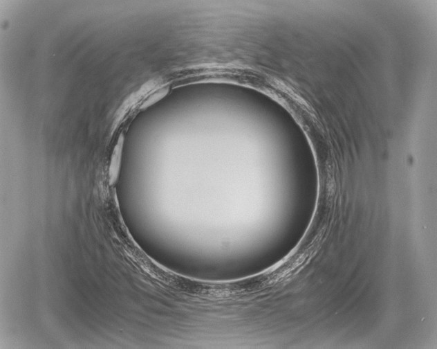 X0000060801357200511141429