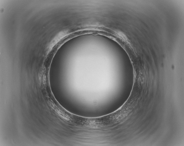 X0000060801360200511141429