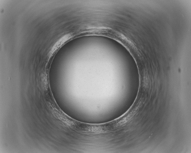 X0000060801362200511141429