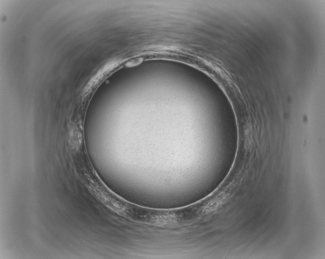 X0000060801363200511141429