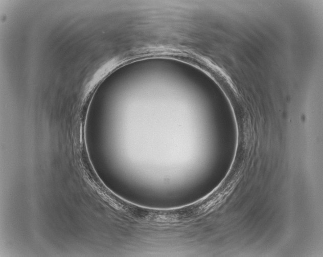 X0000060801365200511141429