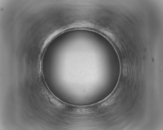 X0000060801366200511141429