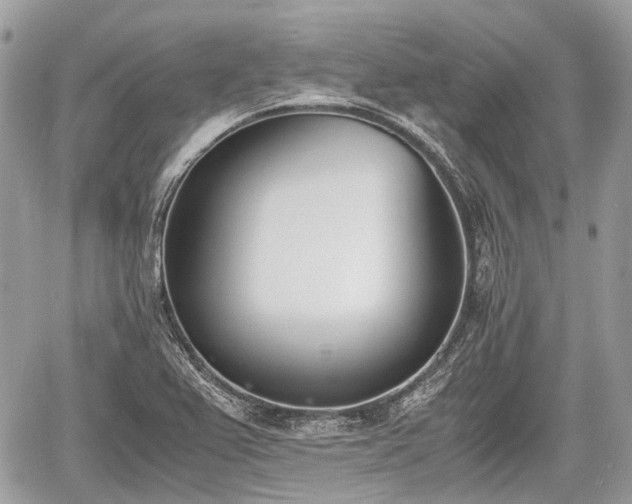 X0000060801367200511141429