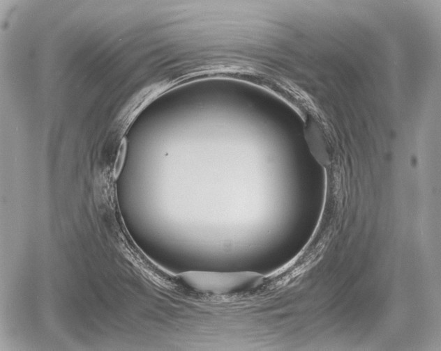 X0000060801369200511141429