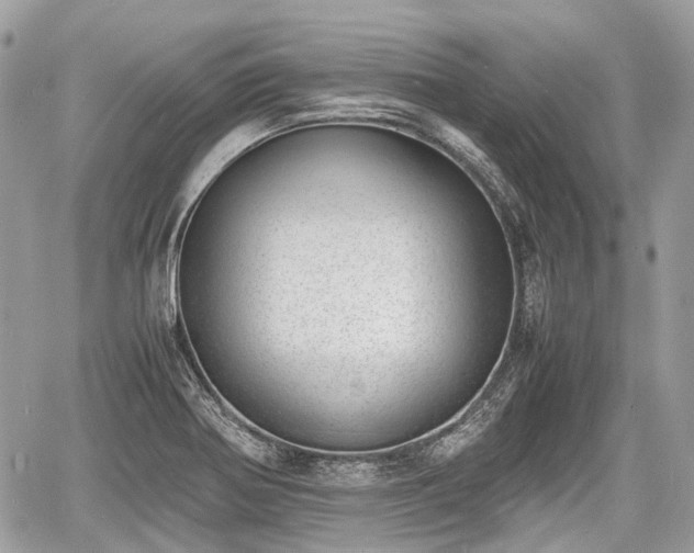 X0000060801370200511141429