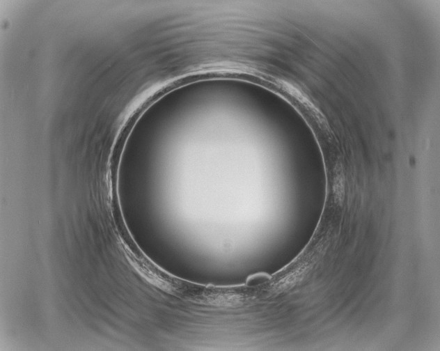 X0000060801372200511141428