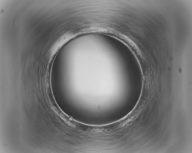 X0000060801373200511141428