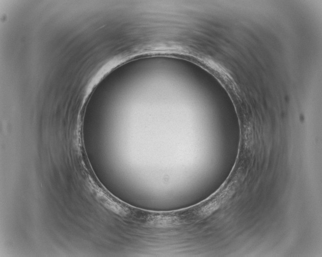 X0000060801374200511141428