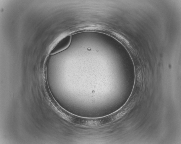 X0000060801375200511141428